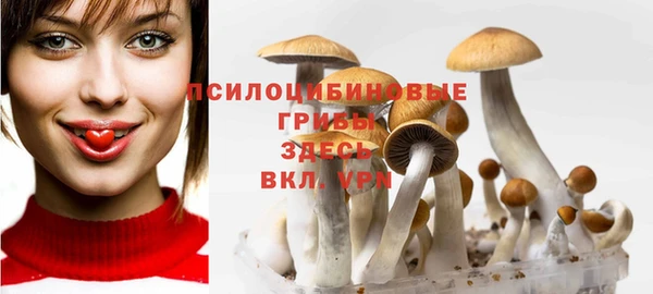 шишки Алзамай