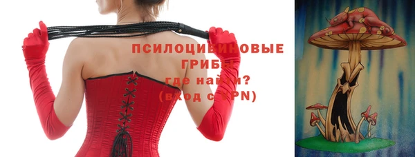 шишки Алзамай