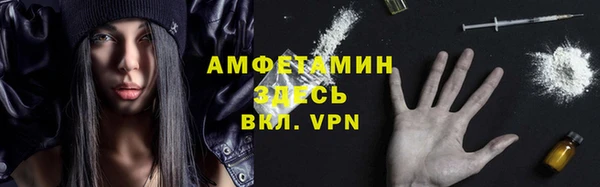 шишки Алзамай