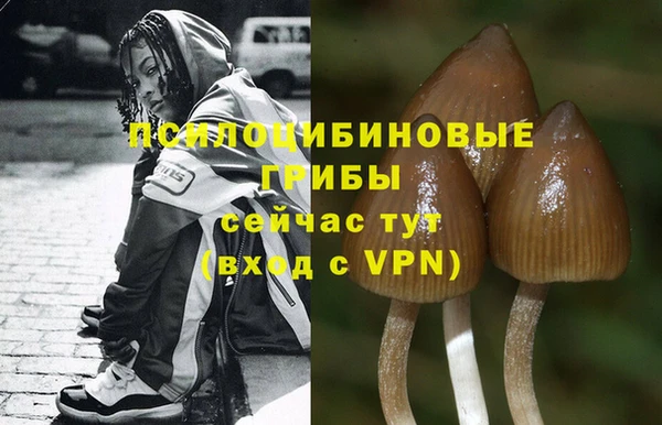 spice Алексин