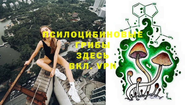 spice Алексин